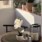 07 With Panoramic View Apartment *