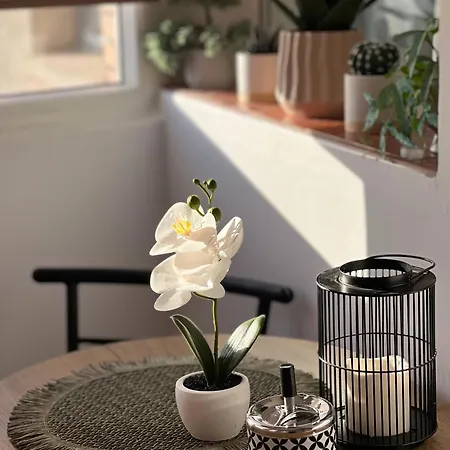 07 With Panoramic View Apartment *