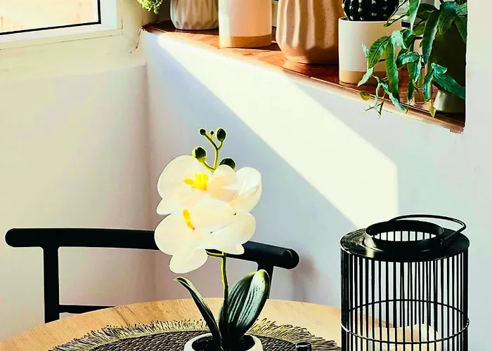 Apartament 07 With Panoramic View